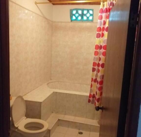 اتاق استاندارد چهار تخته, Hostel Cattleya