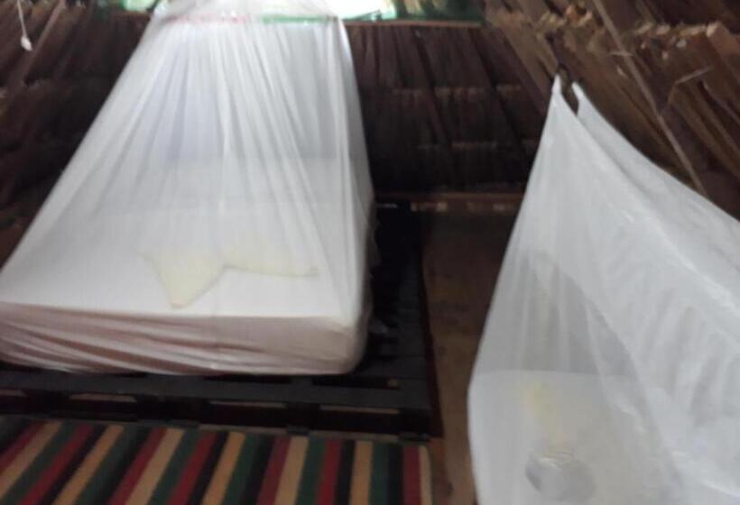 اتاق اکونومی, Hostel Cattleya