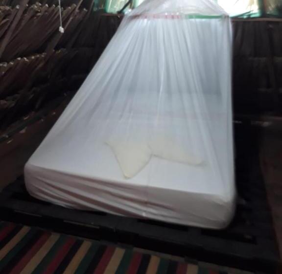 اتاق اکونومی, Hostel Cattleya