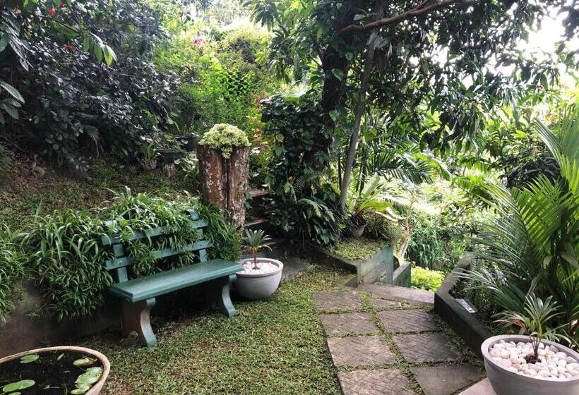 スタンダードルーム, Kandyan Lounge