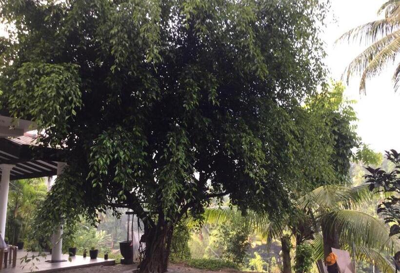 スタンダードルーム, Kandyan Lounge