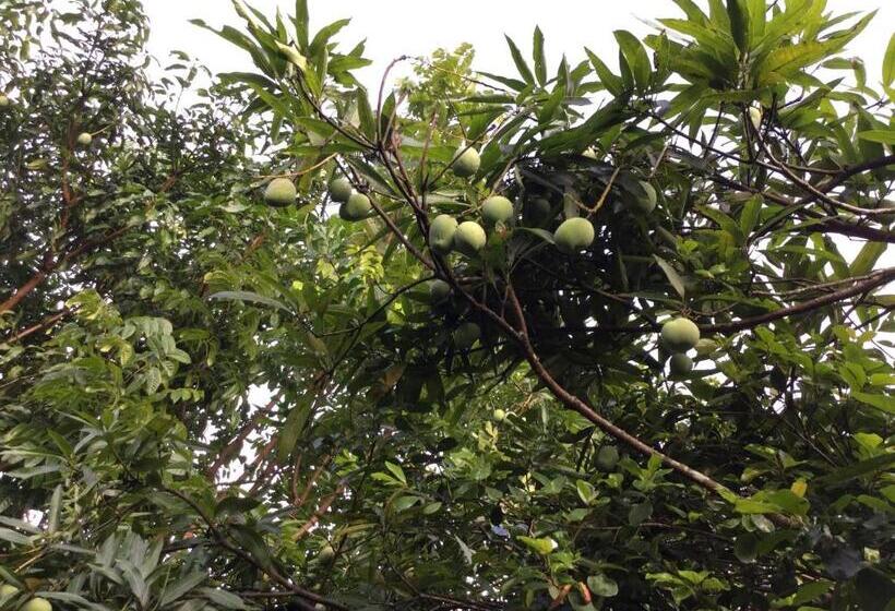 スタンダードルーム, Kandyan Lounge