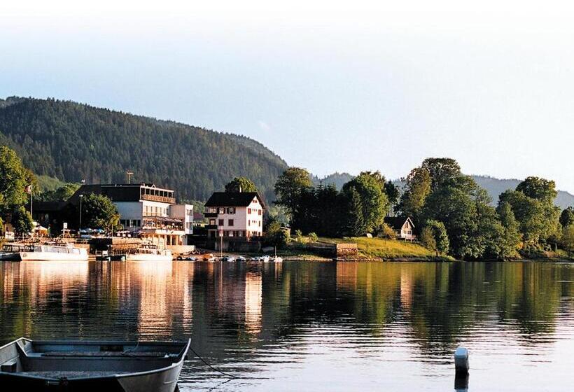 标准间带湖景, Maison Du Lac   Séjour à La Semaine