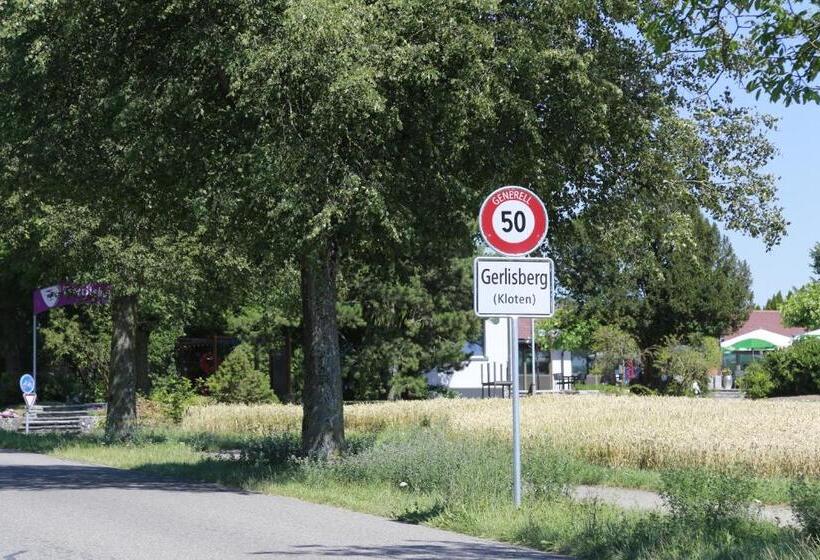 Номер Стандарт Совместная Ванная, Pension Geerlisburg