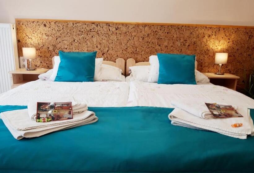 اتاق استاندارد, Zenit Panzió