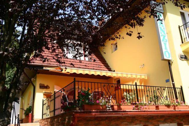 اتاق استاندارد, Zenit Panzió