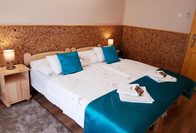 اتاق استاندارد, Zenit Panzió