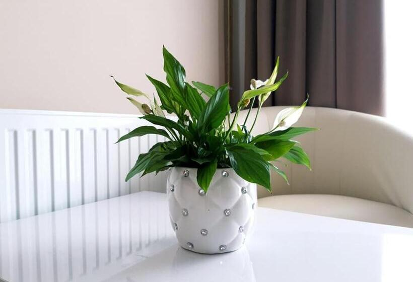 اتاق استاندارد چهار تخته, Zenit Panzió