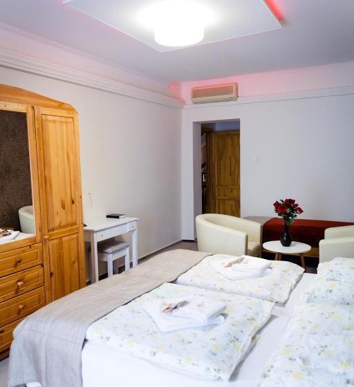 اتاق استاندارد چهار تخته, Zenit Panzió