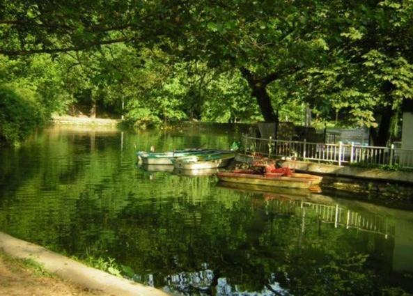 اتاق سوپریور چهار تخته, Zenit Panzió