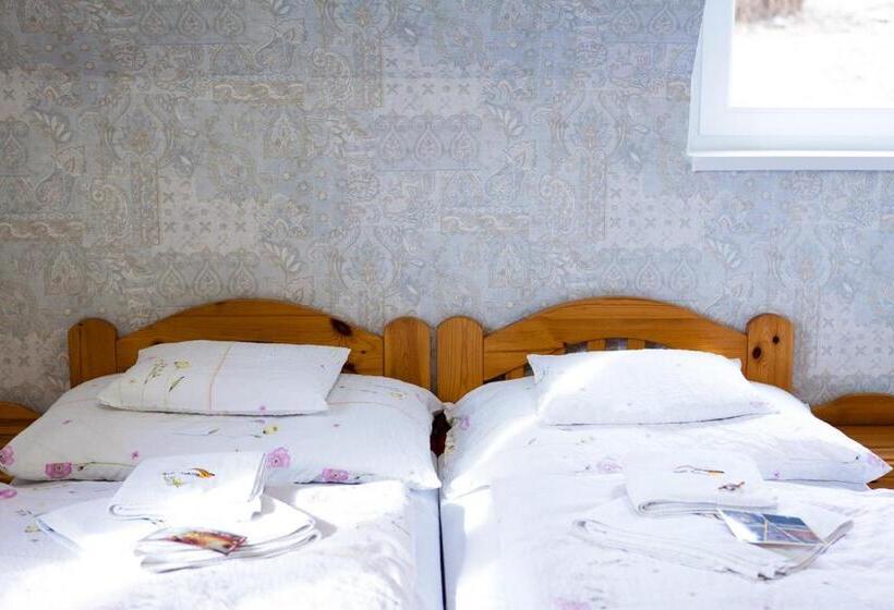 اتاق سوپریور چهار تخته, Zenit Panzió