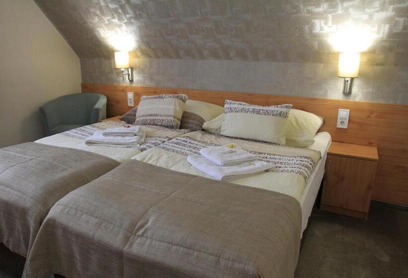 اتاق استاندارد, Zenit Panzió