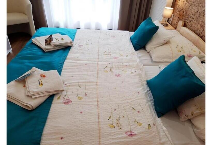 اتاق استاندارد, Zenit Panzió