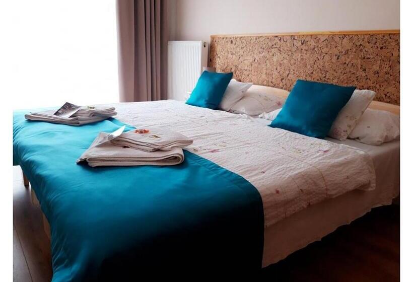 اتاق استاندارد, Zenit Panzió