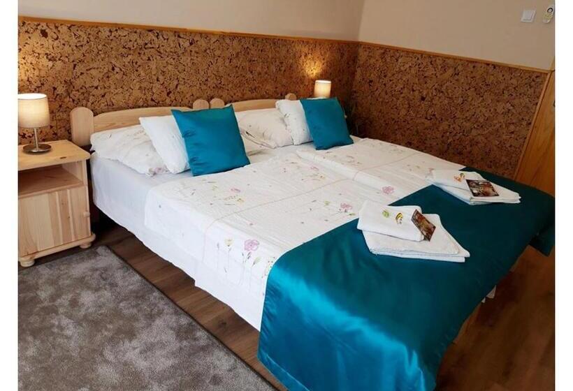 اتاق استاندارد, Zenit Panzió