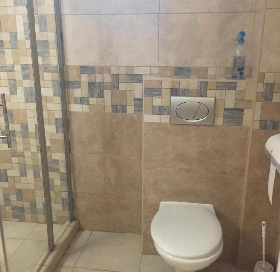 اتاق استاندارد سه نفره, Zenit Panzió