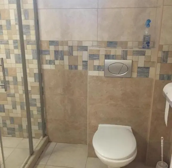 Standard Kolmen Hengen Huone, Zenit Panzió