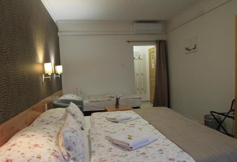 اتاق استاندارد سه نفره, Zenit Panzió