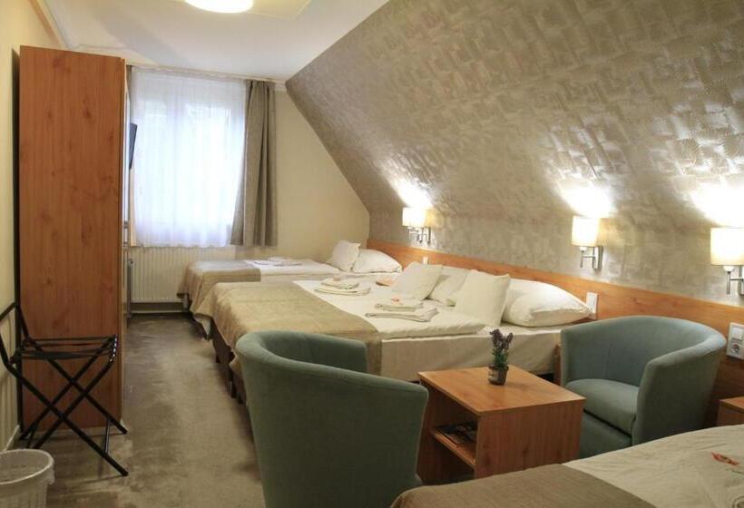 اتاق استاندارد چهار تخته, Zenit Panzió