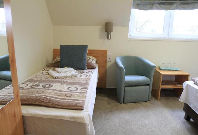 اتاق سوپریور چهار تخته, Zenit Panzió