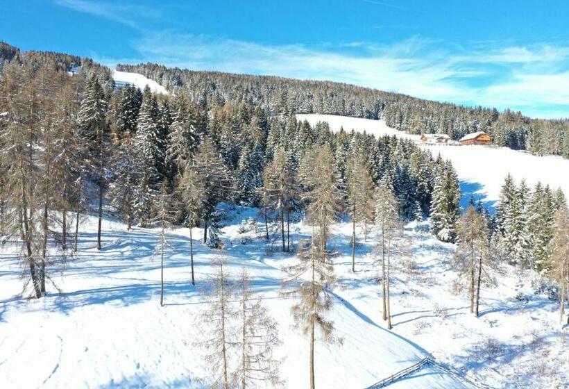 带1个卧室的公寓, Almresidenz Unterrain Zum Hartl  1 Km By Car Distance Ski Slopes Kronplatz