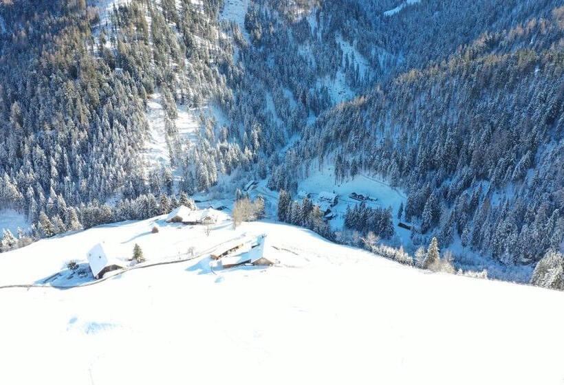 Апартаменты 1 Спальня, Almresidenz Unterrain Zum Hartl  1 Km By Car Distance Ski Slopes Kronplatz
