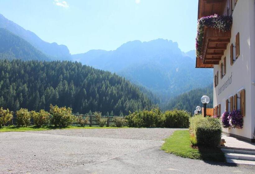 带1个卧室的公寓, Almresidenz Unterrain Zum Hartl  1 Km By Car Distance Ski Slopes Kronplatz