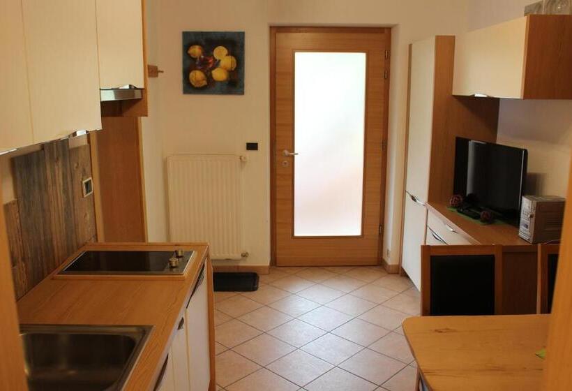 带1个卧室的公寓, Almresidenz Unterrain Zum Hartl  1 Km By Car Distance Ski Slopes Kronplatz