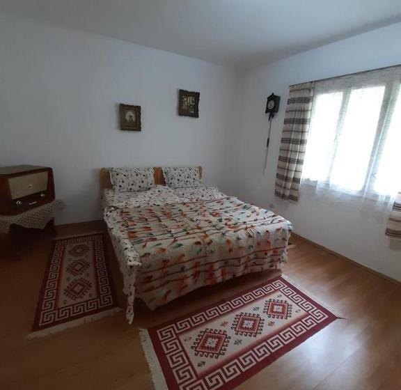 マウンテンビュースタンダードルーム, Casa De Vacanta Joldes