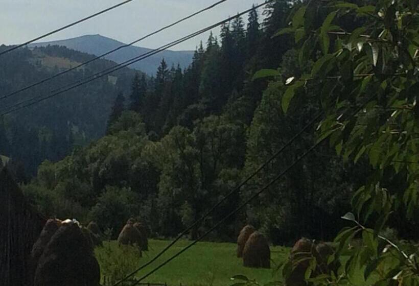 スタンダードトリプルルーム, Casa De Vacanta Joldes