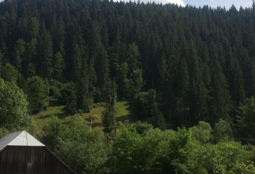 マウンテンビュースタンダードルーム, Casa De Vacanta Joldes