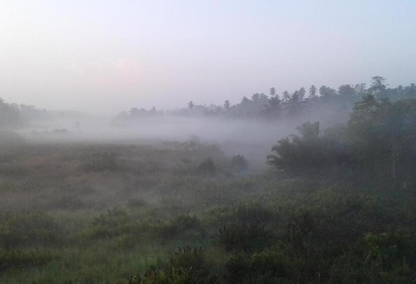 스탠다드 발코니 룸, Deutsche Villa