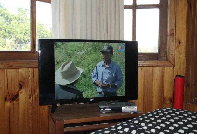 חדר סטנדרט, Hostel El Alcazar