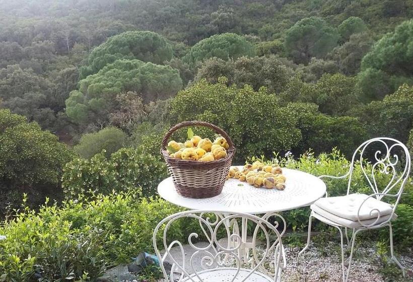 2 Bedrooms Suite Sea View, Massacan Vue Mer