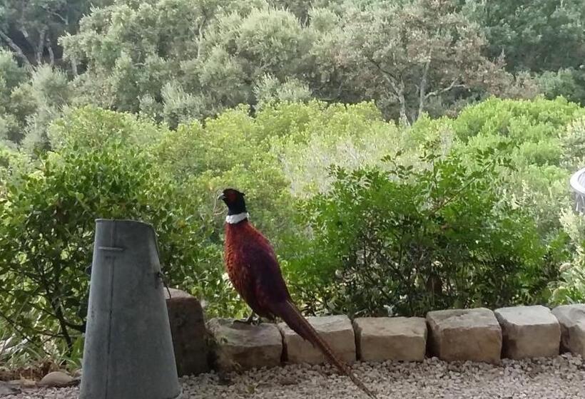 2 Bedrooms Suite Sea View, Massacan Vue Mer