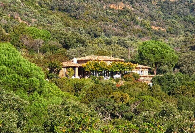 可观海景的舒适型房间, Massacan Vue Mer