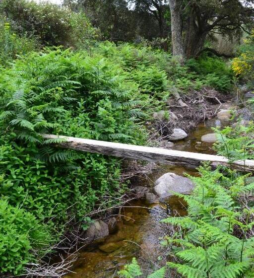 可观海景的舒适型房间, Massacan Vue Mer