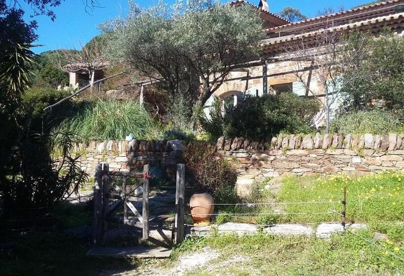 可观海景的舒适型房间, Massacan Vue Mer