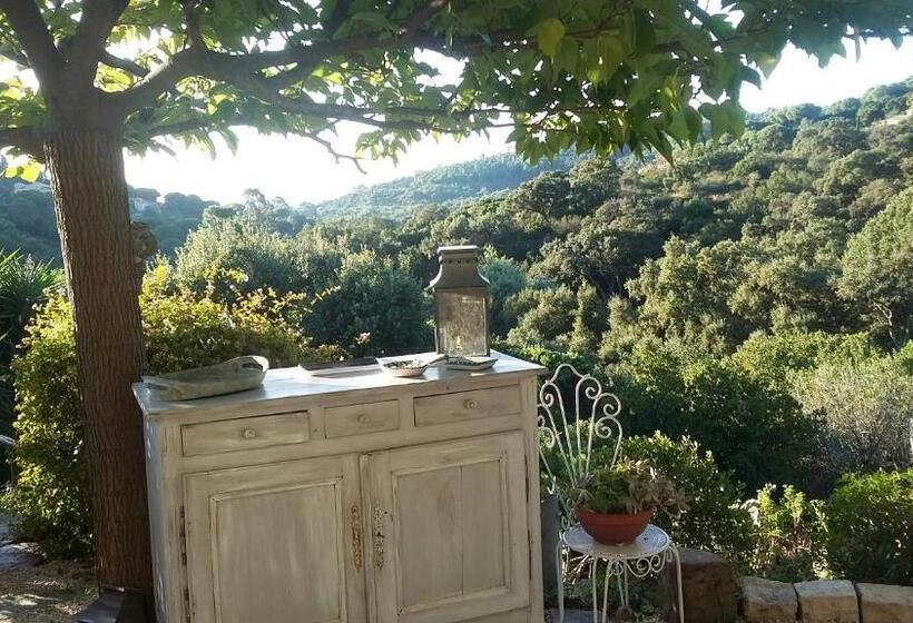 带海景的豪华间, Massacan Vue Mer