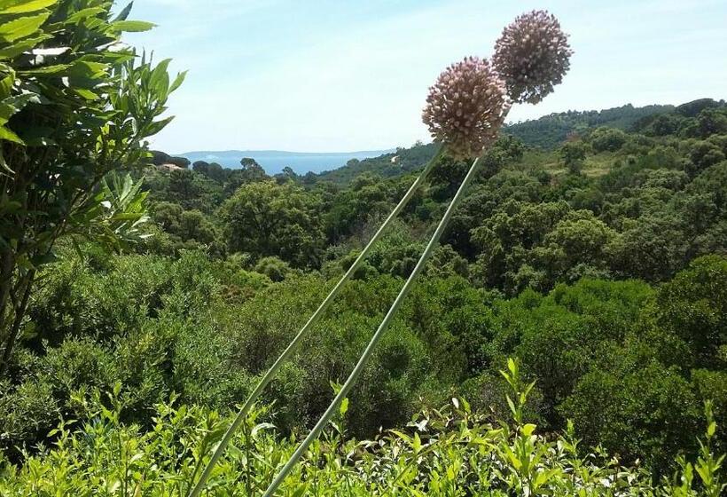 带海景的豪华间, Massacan Vue Mer