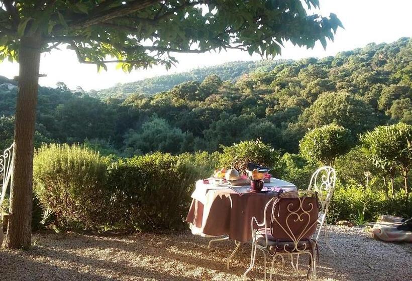 带海景的豪华间, Massacan Vue Mer