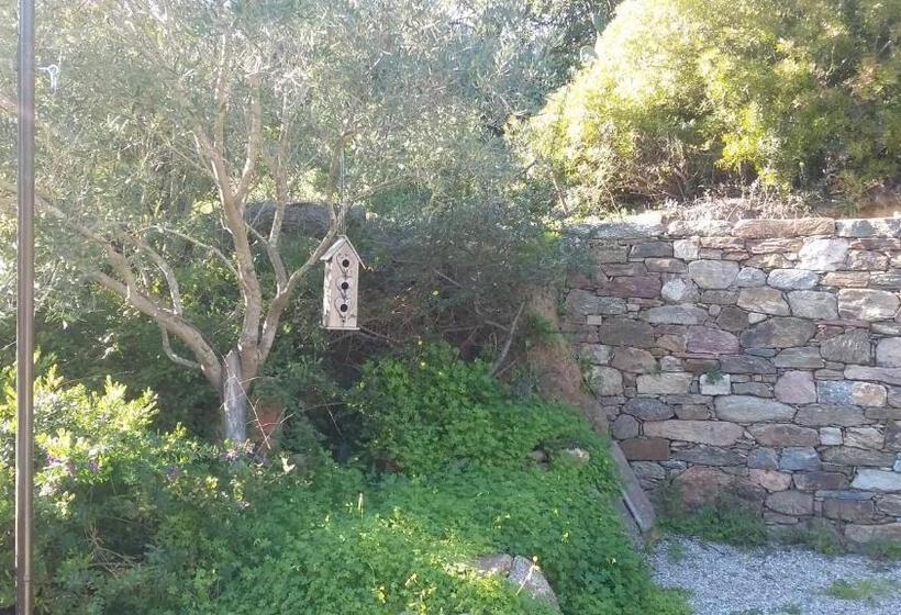 2 Bedrooms Suite Sea View, Massacan Vue Mer