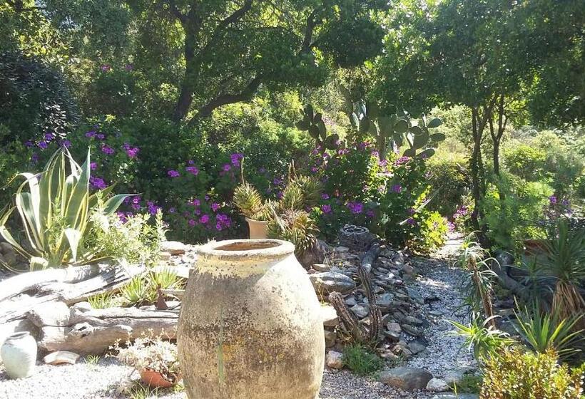 2 Bedrooms Suite Sea View, Massacan Vue Mer