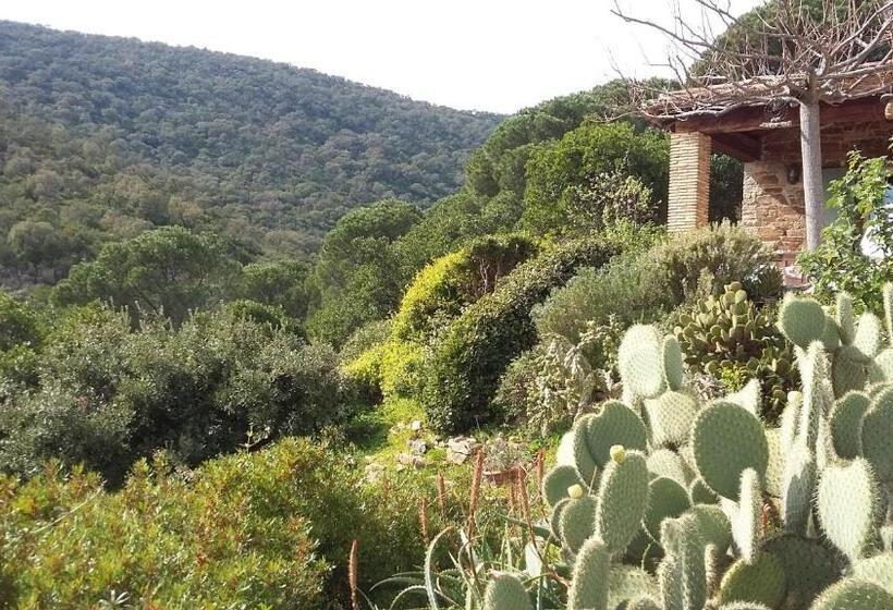 2 Bedrooms Suite Sea View, Massacan Vue Mer