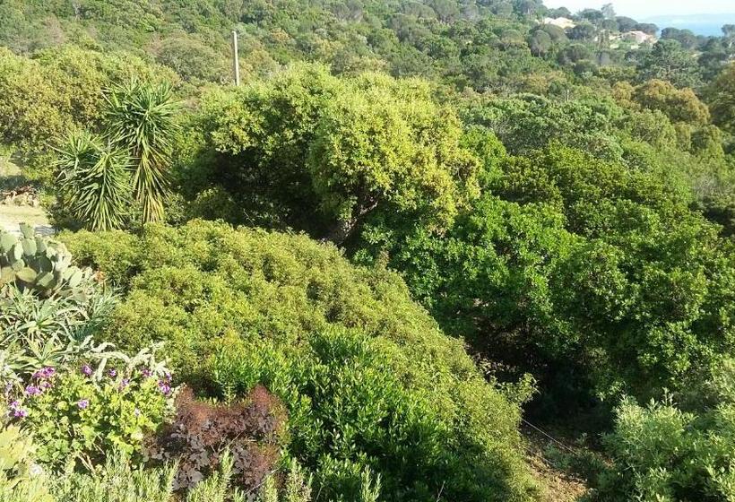 可观海景的舒适型房间, Massacan Vue Mer