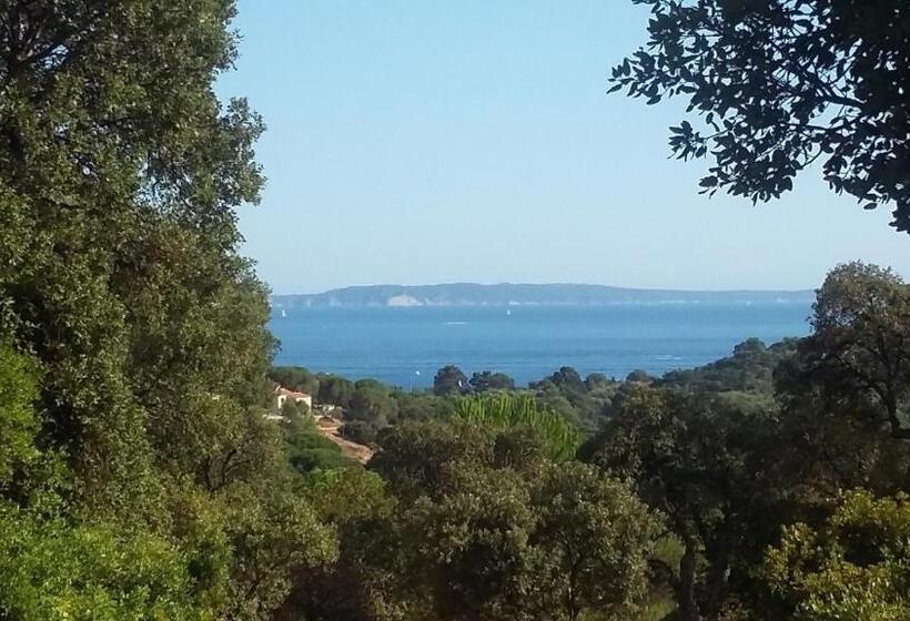 可观海景的舒适型房间, Massacan Vue Mer