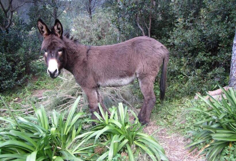 可观海景的舒适型房间, Massacan Vue Mer