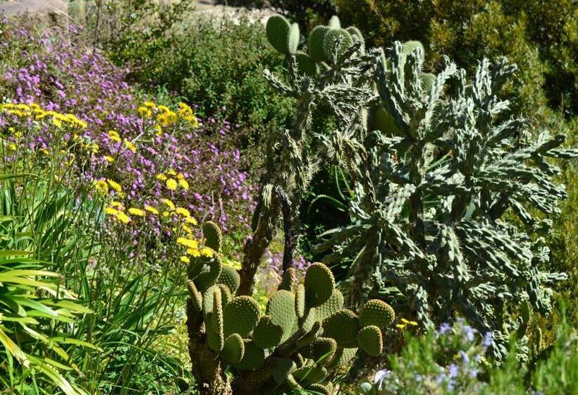 可观海景的舒适型房间, Massacan Vue Mer