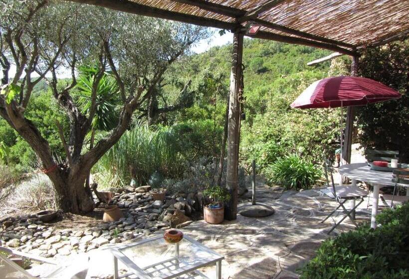 可观海景的舒适型房间, Massacan Vue Mer