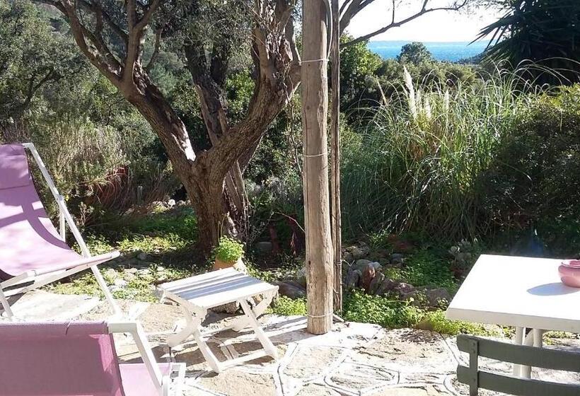 可观海景的舒适型房间, Massacan Vue Mer